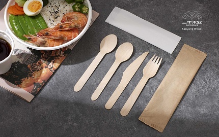disposable-wooden-cutlery-set-types.jpg