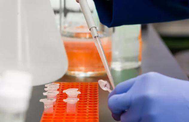 The Role of Coating for Medical Devices