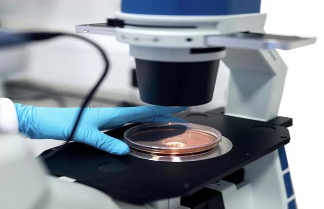 Understanding Hydrophilic Surface Modification