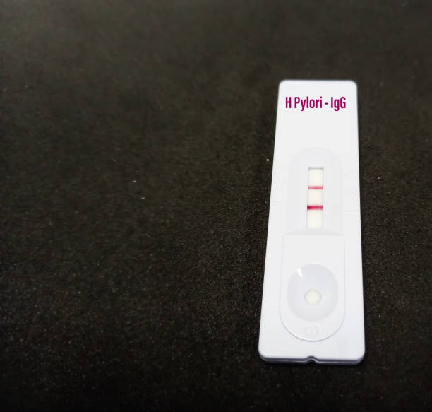 /uploads/image/2025/09/19/h-pylori-antibody-rapid-test-2.jpg h-pylori-antibody-rapid-test-2.jpg