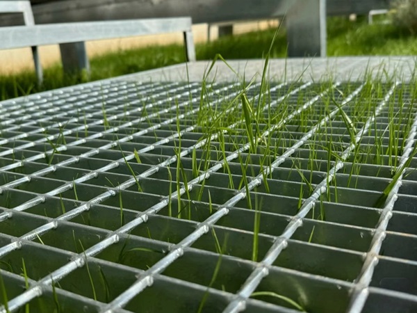 garden-grating-2.jpg