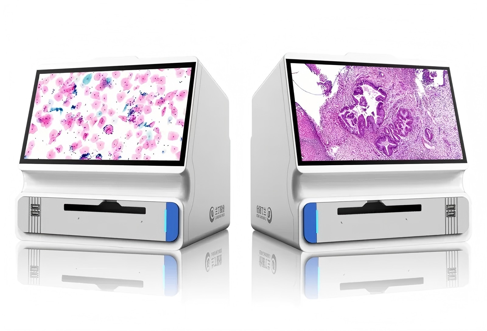 digital pathology scanner